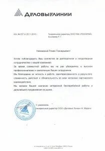 Деловые линии образец