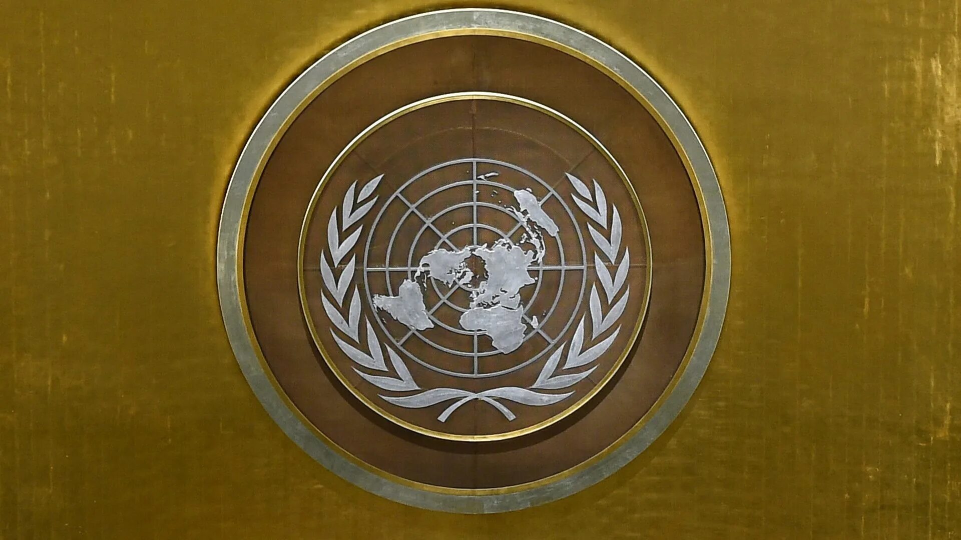 Утверждение оон. Генеральная Ассамблея ООН герб. Флаг ООН. СЕФАКТ ООН. Эмблема ООН фото.