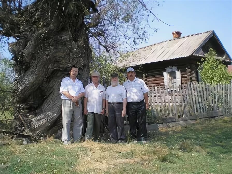 Село батырево. Погода в тарханах батыревского. Тарханы бабатырево. Село тарханы чувашия. Тарханы бабатырево.