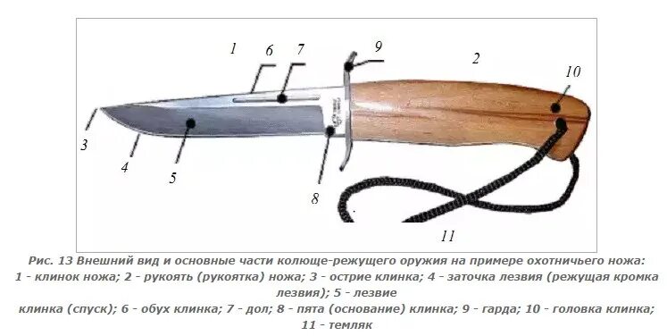 Криминалистика оружиеведение нож. Криминалистическое исследование холодного оружия. Строение ножа криминалистика. Конструктивные элементы ножа криминалистика. Части холодного оружия