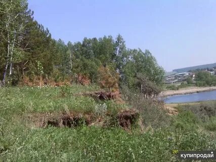 Погода в элите красноярского края емельяновского