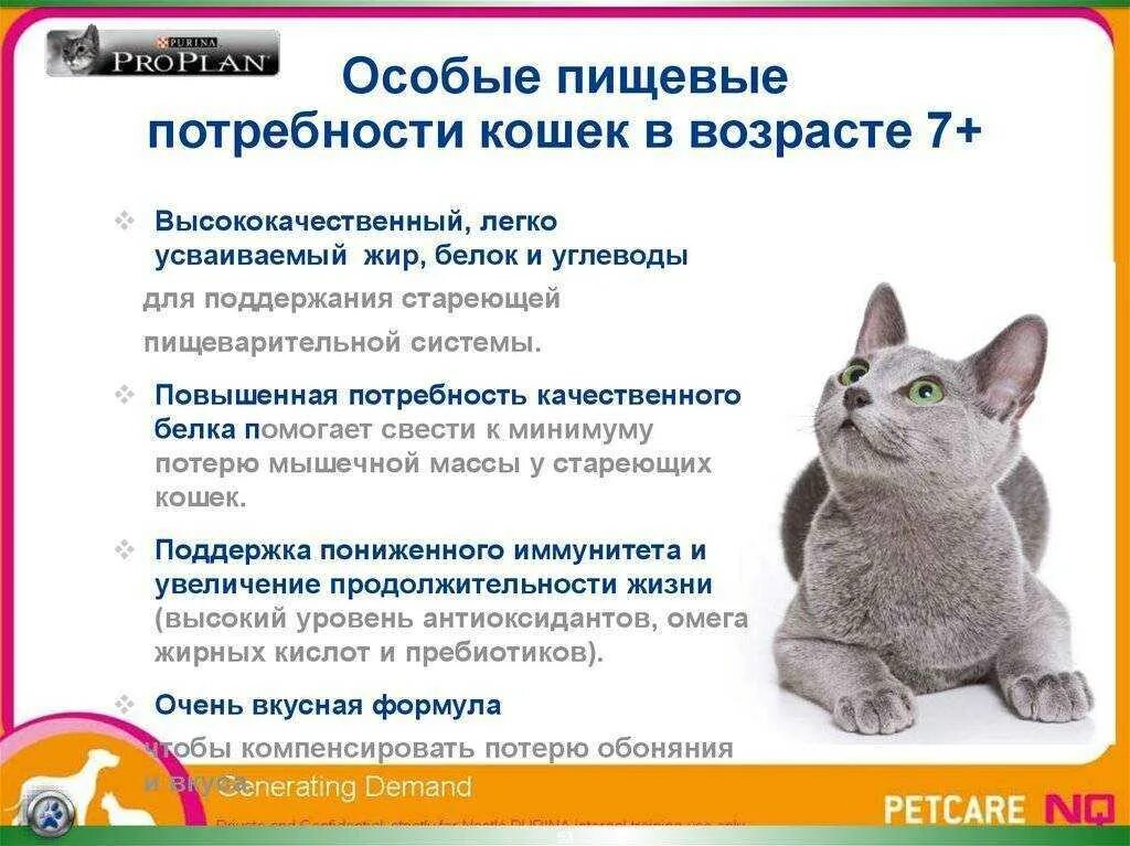 Чем кормить котенка 5 месяцев. График кормления котов. Режим кормления котов по времени. График кормления кошки. Потребность в белке для кошек.