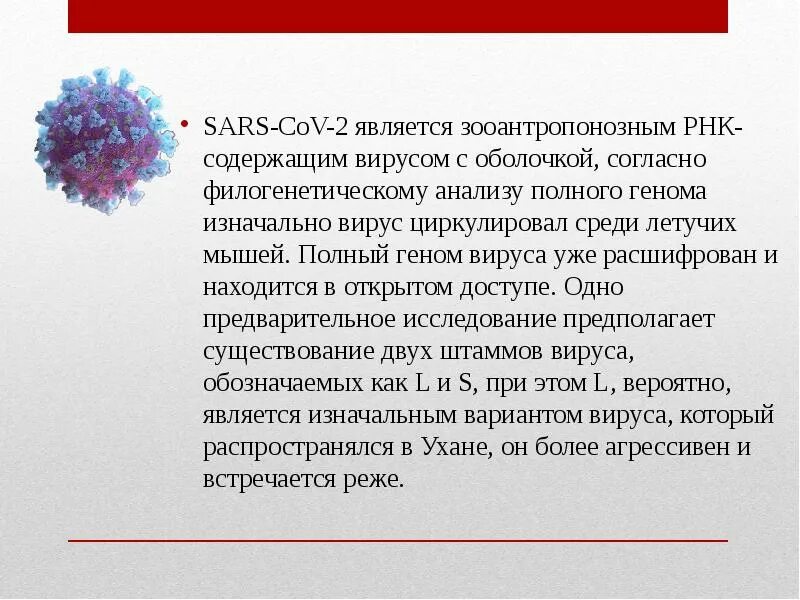 К рнк вирусам относятся вирусы. Коронавирус РНК вирус. Структура генома коронавируса. Вирус SARS-cov. Коронавирус характеристика вируса.