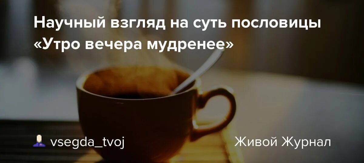 Утром а вечером форум. Пословицы про утро. Пословица утро вечера. Утро вечера мудренее. Утро вечера мудренее картинки прикольные со смыслом.