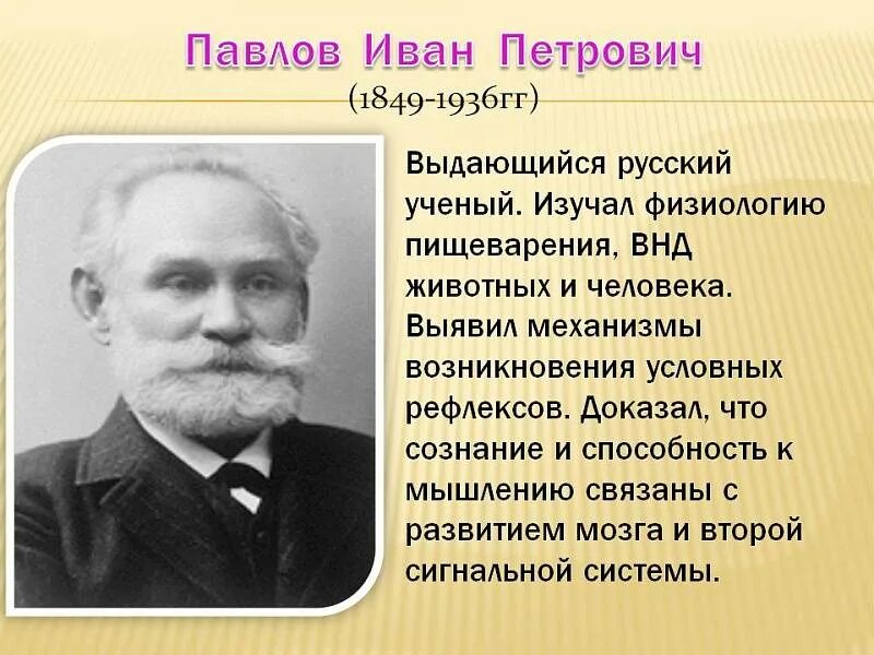 Павлов направление