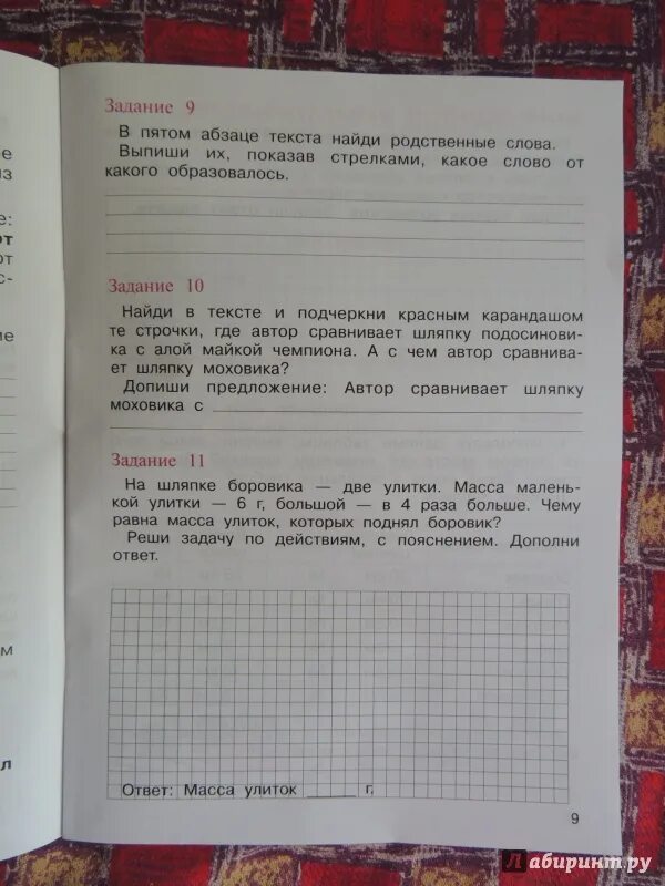Комплексные работы 3 текст 2 вариант. Комплексные работы на основе единого текста 2 класс. комплексная работа 2 класс с ответами. итоговые комплексные работы 2 класс. итоговая комплексная работа 3 класс 2 вариант.
