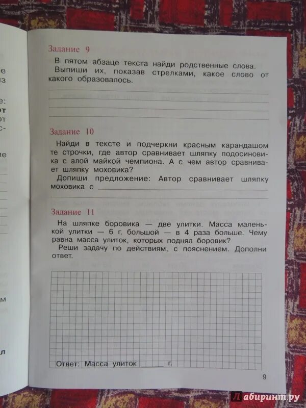 Комплексная работа 2 класс сколько. Комплексные работы на основе единого текста 2 класс. Комплексная работа 2 класс с ответами. Итоговые комплексные работы 2 класс. Итоговая комплексная работа 3 класс 2 вариант.