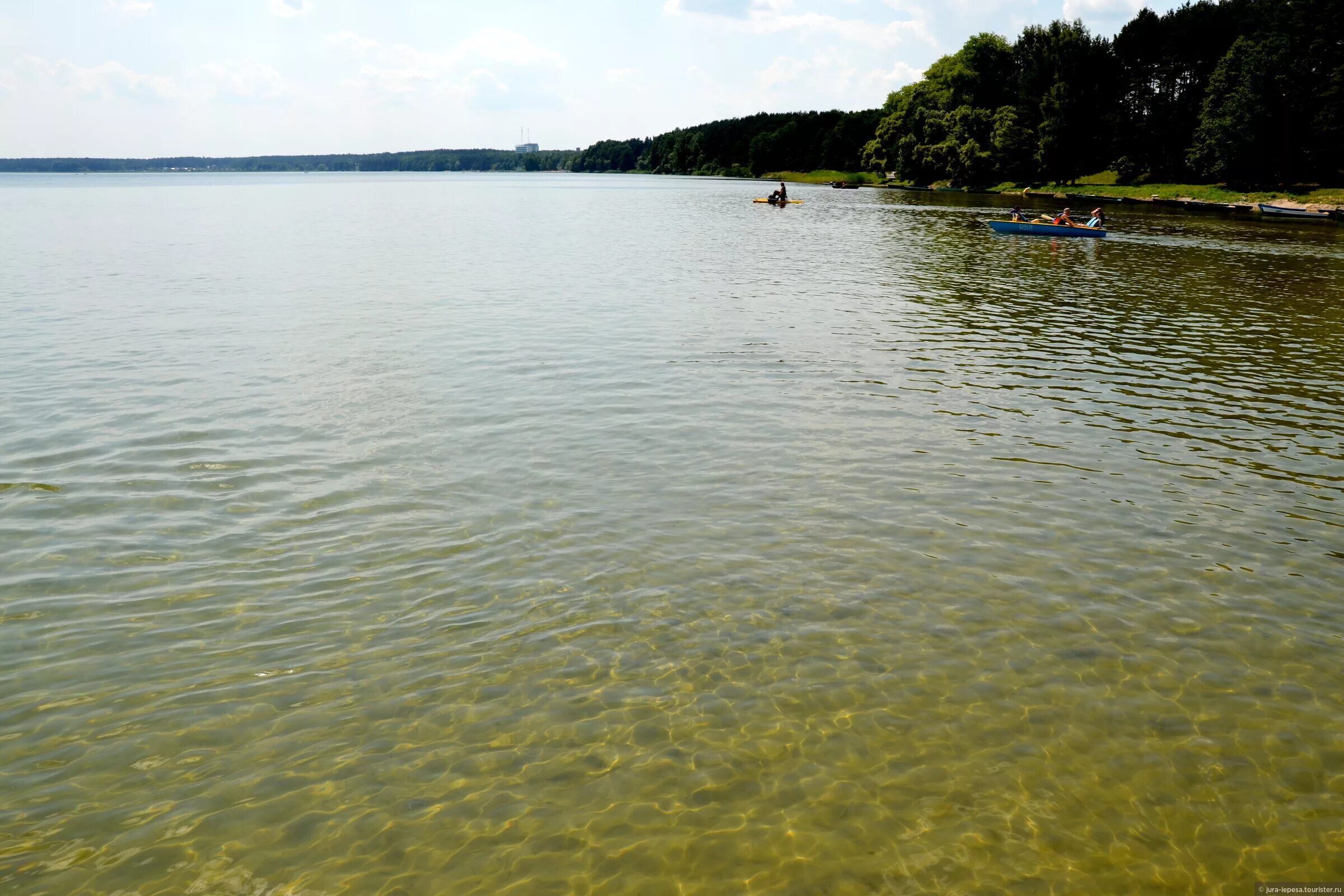 Наносы нарочь. Беларусь озеро нарочь отдых. Озеро нарыч белоруссия. Озеро нарыч белоруссия. Озеро нарочь санаторий спутник.