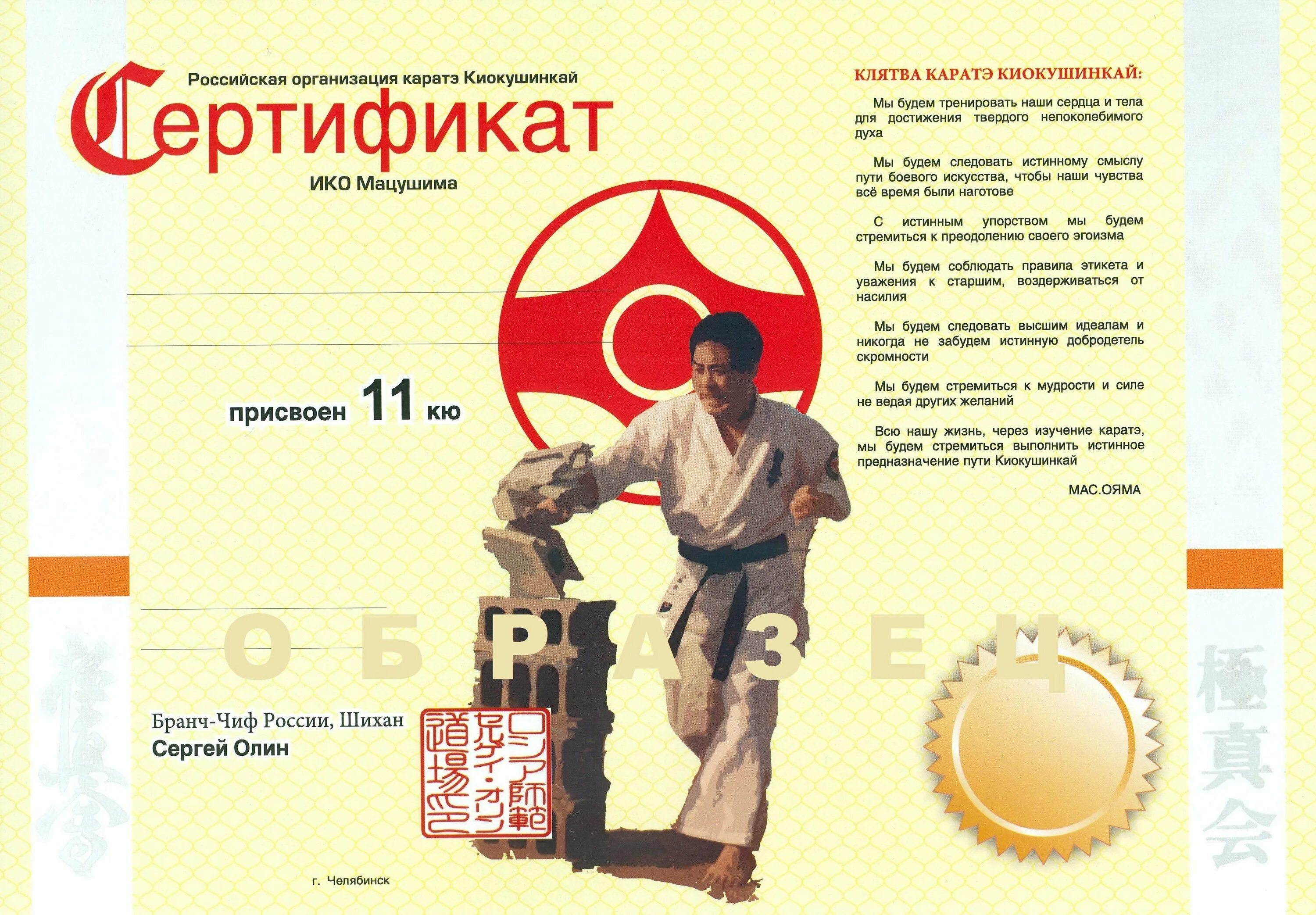 10кю каратэ. Кёкусинкай каратэ сертификат. сертификат каратэ кекусинкай. сертификат каратэ на кю. сертификат на 10 кю киокушинкай.
