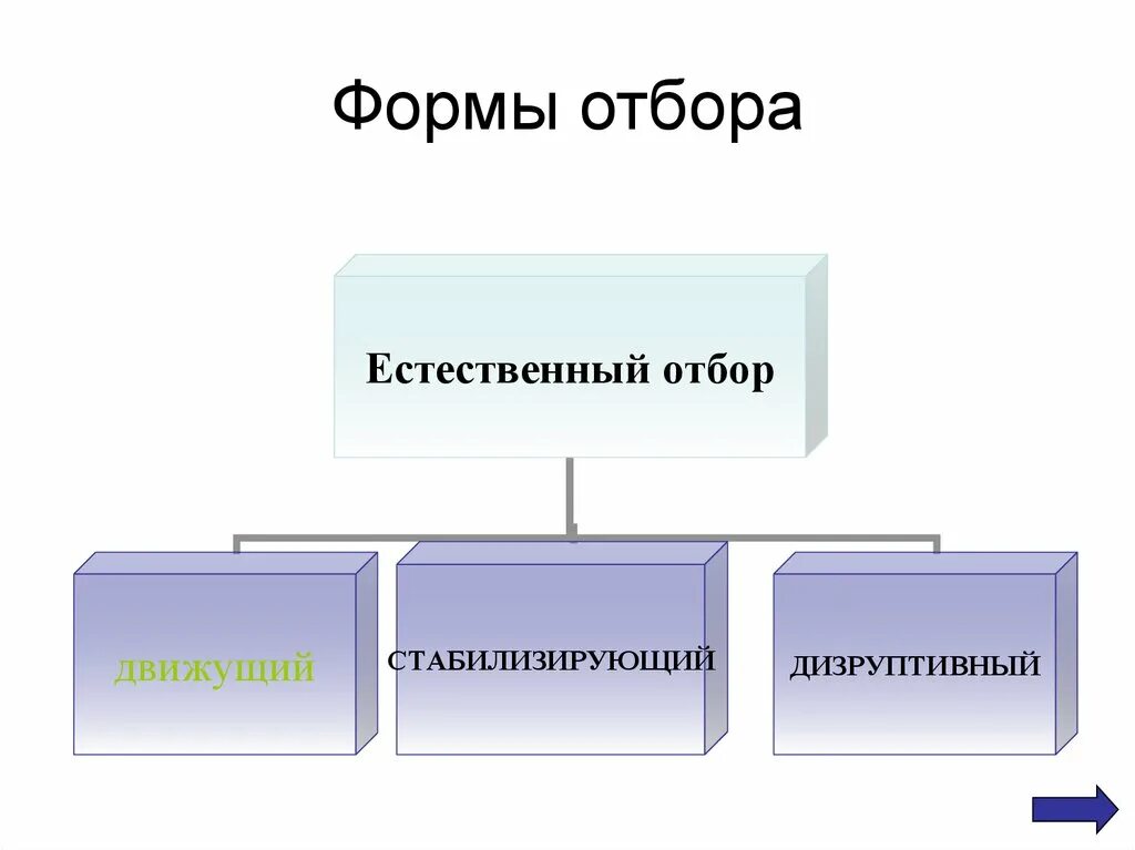 Классификация форм отбора. Формы естественного отбора. Движущие силы естественного отбора. Движущие силы эволюции естественный отбор.