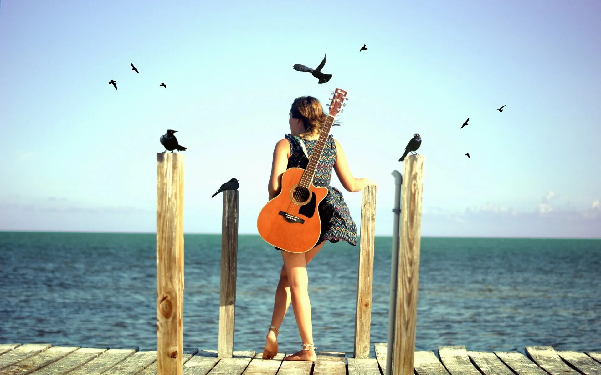 Девушка с гитарой. Море птицы девушка. Девочка с гитарой. Веселые песни на природе