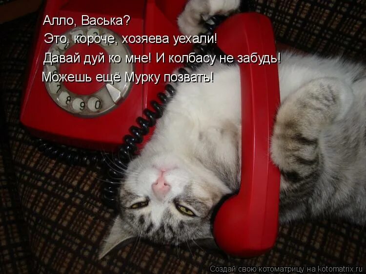 Ваша банковская карта заблокирована. Смс сообщения. Пришли мне на телефон. Сообщения от мошенников. Пришли мне на телефон.