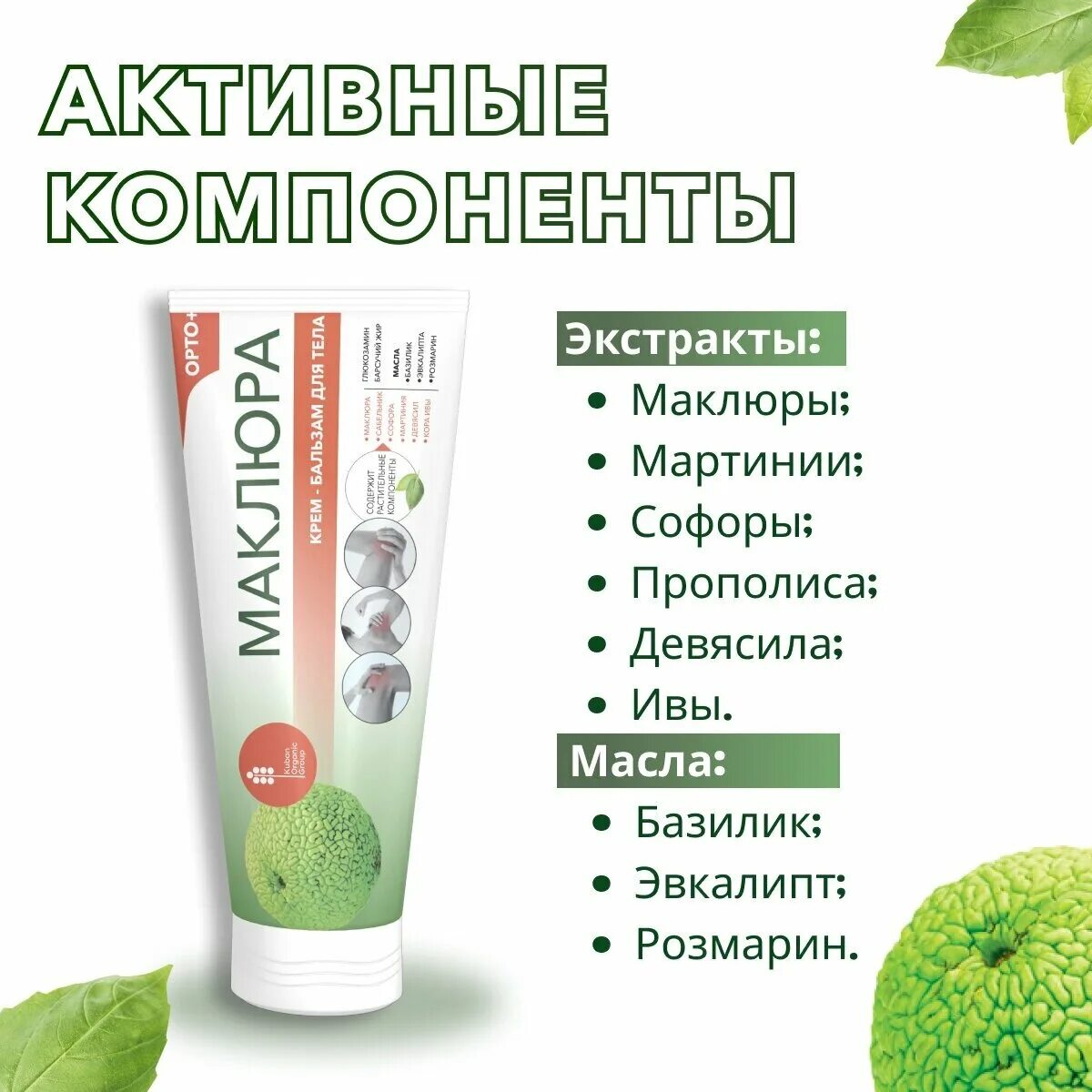 мазь маклюра с золотым усом и окопником. маклюра крымская мазь. маклюра адамово яблоко мазь бальзам. мазь маклюра пчелиный яд. бальзам маклюра крымский.