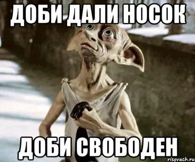 Носки добби свободен