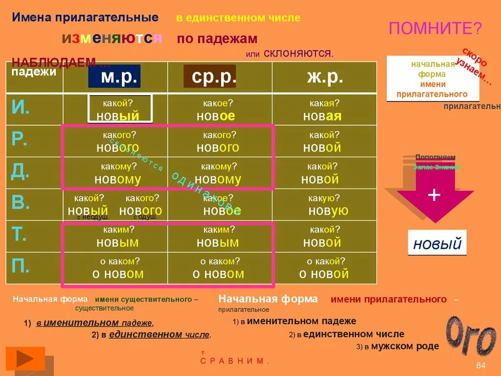 Имена прилагательные склоняются или изменяются. Шкаф по падежам. Собака просклонять по падежам во множественном числе. Склонение имен прилагательных во множественном числе. Солдаты склонение по падежам во множественном числе.