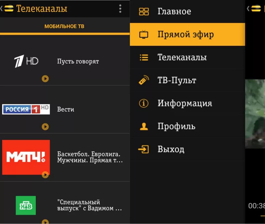 Билайн телевидение каналы. Билайн ТВ. Мобильное приложение Билайн ТВ. Билайн ТВ меню. Телевидение от Билайн.