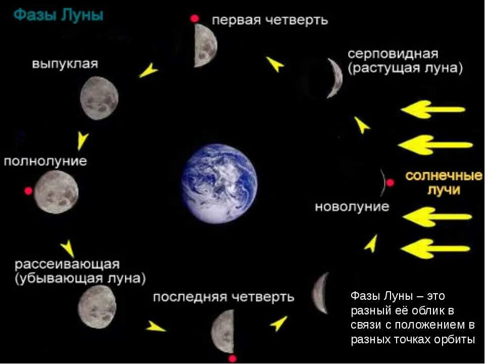 Месяц снизу. Фазы Луны. Ф̆̈ӑ̈з̆̈ы̆̈ Л̆̈ў̈н̆̈ы̆̈. Фазы Луны с названиями. Фазы Луны схема.