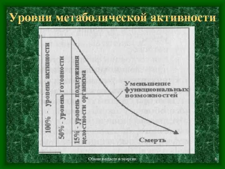 Уровни метаболической активности. Метаболическая активность что это. Уровни метаболической активности таблица. Уровни метаболической активности таблица физиология. Метаболическая активность на пэт