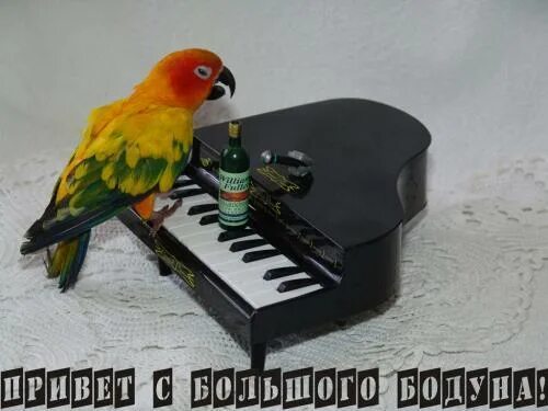 Peggy gou привет с большого бодуна. Открытка привет с большого бодуна. открытка день большого бодуна. привет с большого бодуна картинки. стикер привет с большого бодуна.