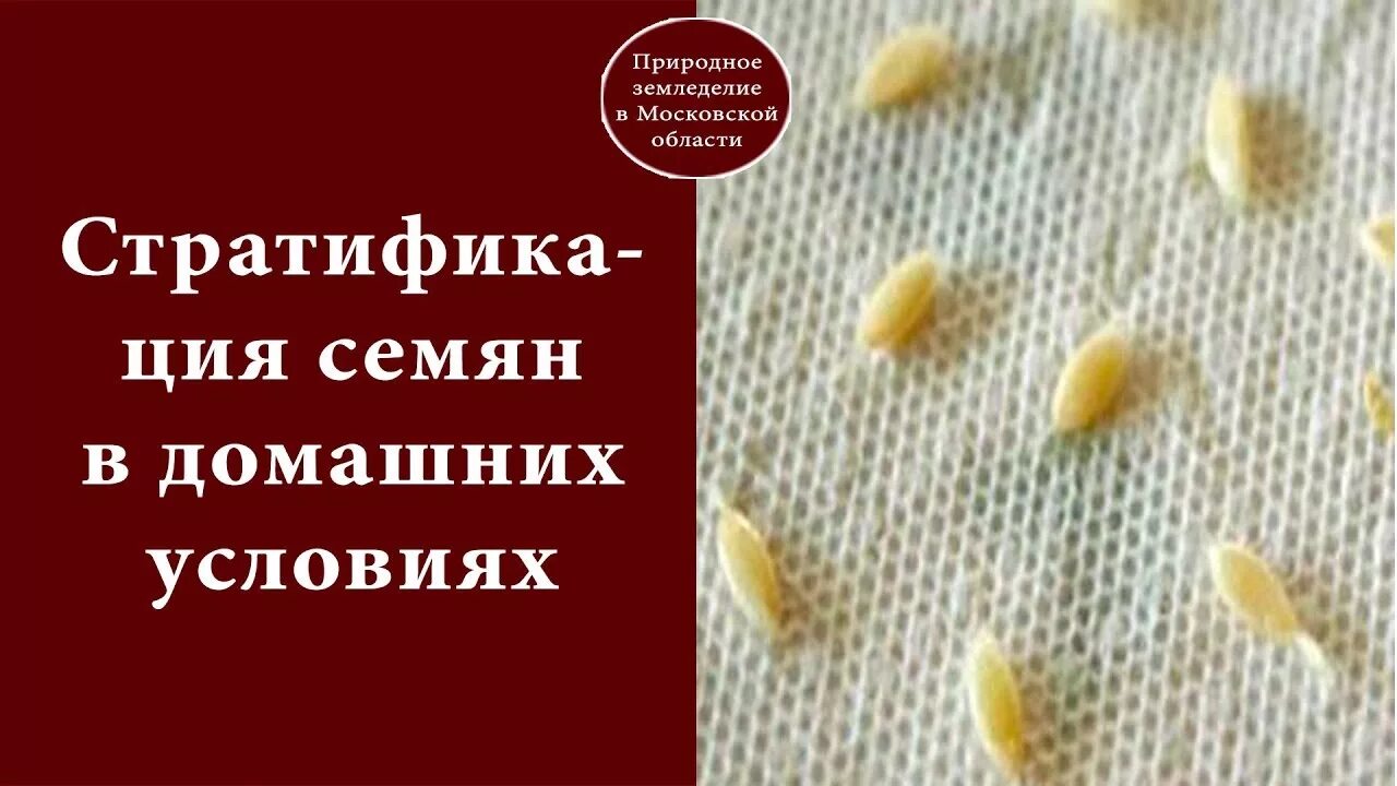 Как правильно сделать стратификацию
