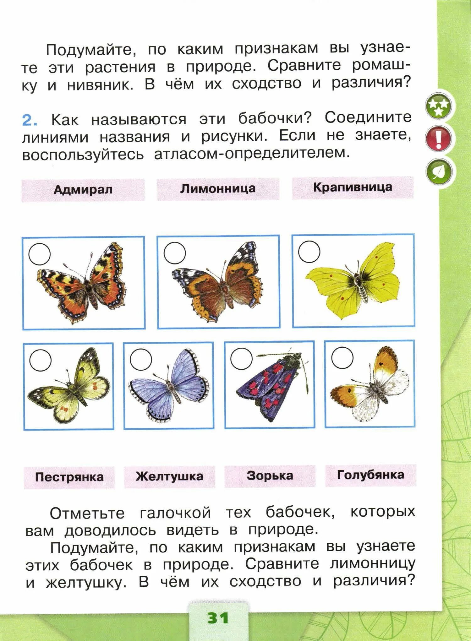 Бабочки по окружающему миру 1 класс 2 часть ответы Плешаков. Плешаков окружающий мир 1 класс бабочки и их названия. Бабочки окружающий мир 1 класс рабочая тетрадь. Атлас-определитель 1 класс окружающий мир бабочки.