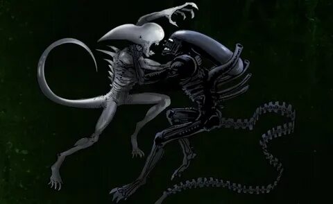 Маникюр музыкасы