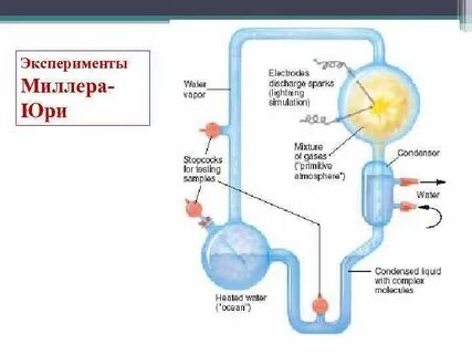 Эксперимент миллера юри