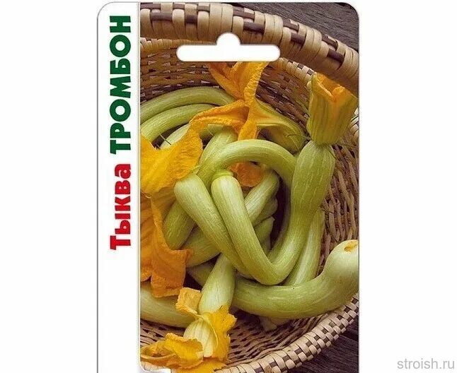 Zucchino Rampticante / Tromboncino Squash: The most versatile and beautiful squa