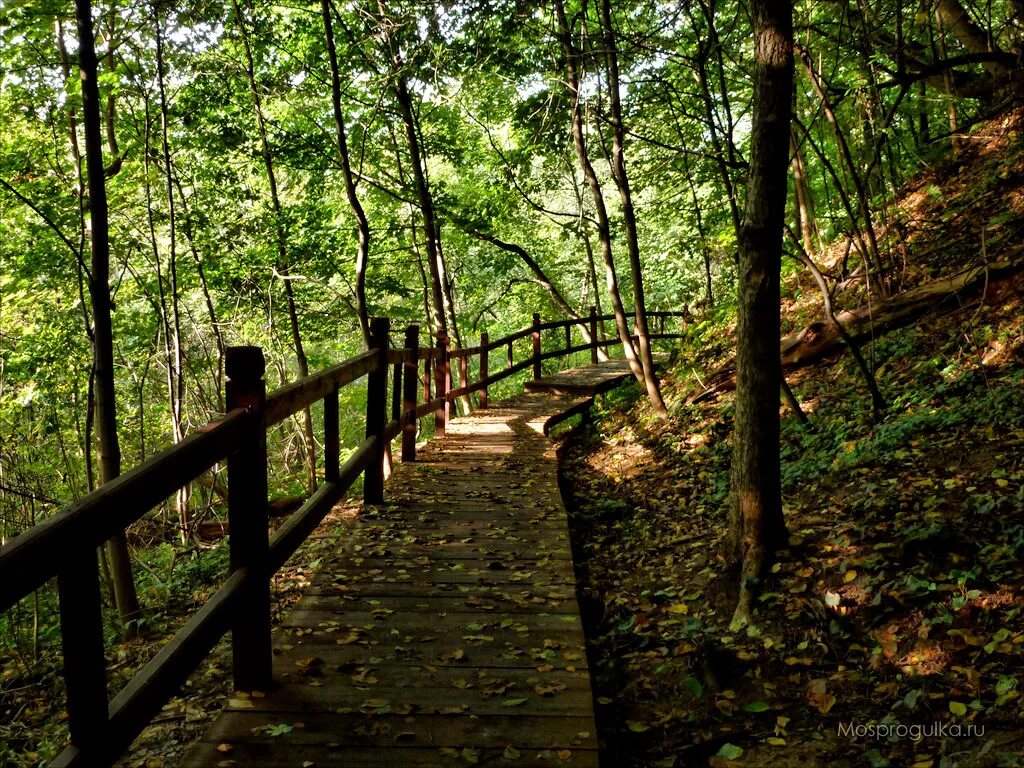 парк реки сходня. парк реки сходня. парк берег реки сходни. ландшафтный заказник долина реки сходни в куркино. парк реки сходня.