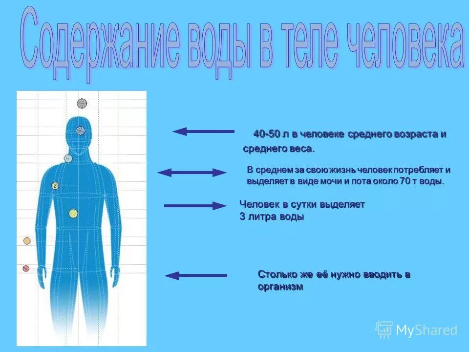 В среднем человек может. Дни без сна последствия. Содержание воды в организме человека в процентах. Презентация среднестатистического человека. Дней без сна мем.