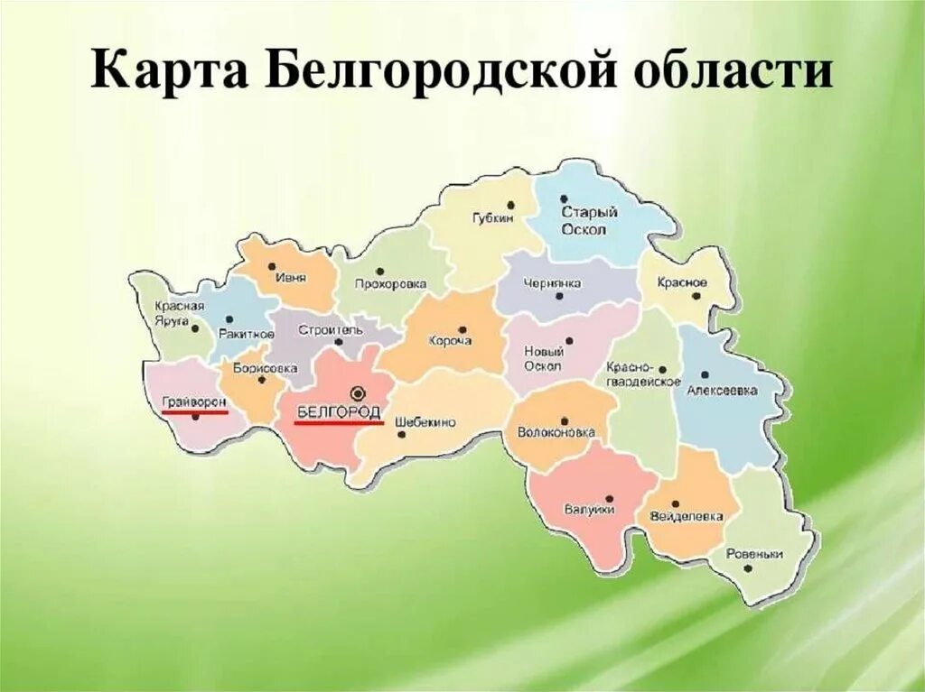 Ковид по районам области. Карта Белгородской области по районам. Белгородская область на карте. Карта Белгородской области с районами. Белгород область на карте.