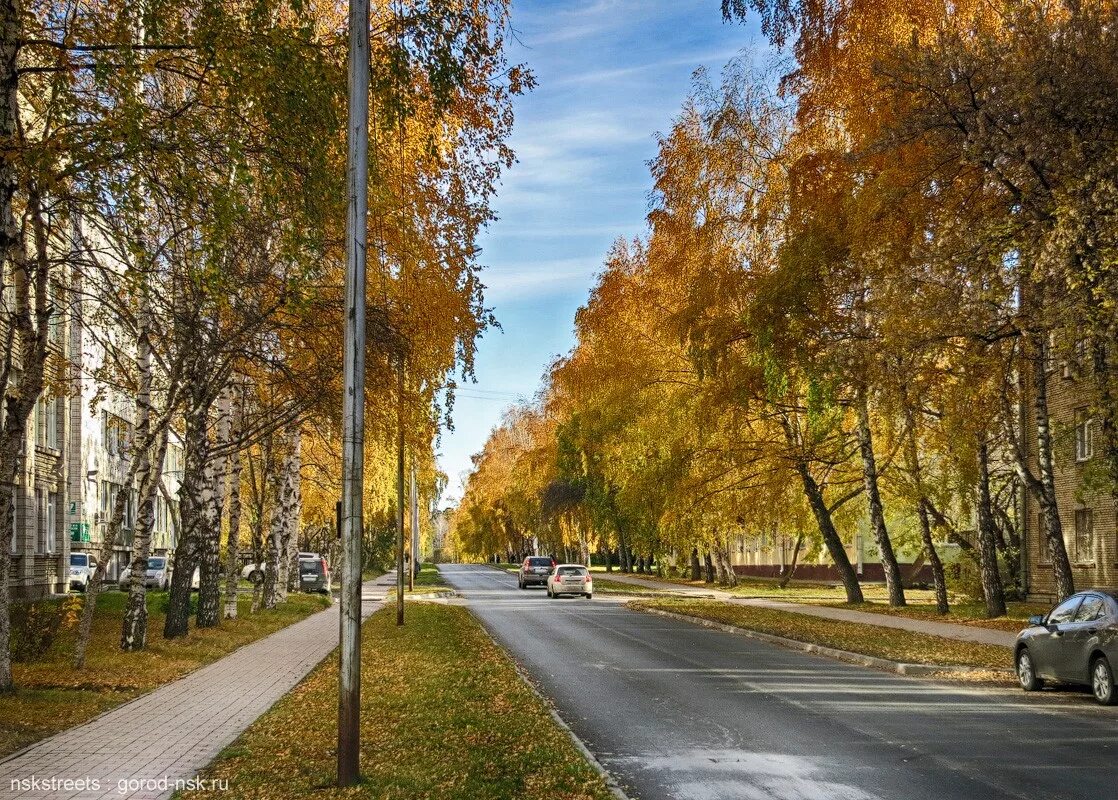 новосибирский академгородок улицы новосибирского академгородка. академия городок в новосибирске. микрорайоны академгородка новосибирск. технопарк новосибирского академгородка, новосибирск. морской проспект академгородок новосибирск лето.