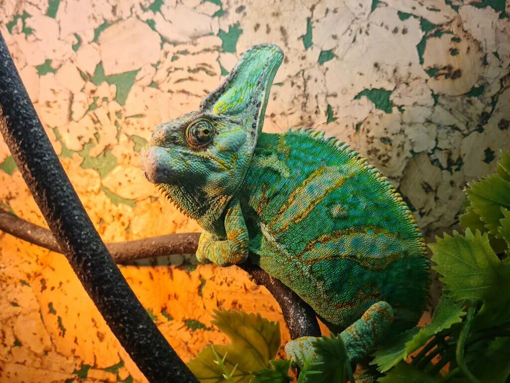 зоомагазин ежик. зоомагазины в красноярске с животными. зоомагазин ежик морозовск. красраб 60 зоомагазин. зоомагазин ежик.