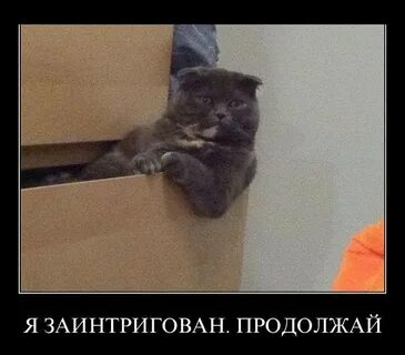 Подожди я работаю