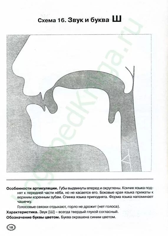 З артикуляция. Схема артикуляции звука р для дошкольников. Артикуляция звуков в графическом изображении р. Профили артикуляции звуков в графическом изображении. Схема артикуляции звука ш.