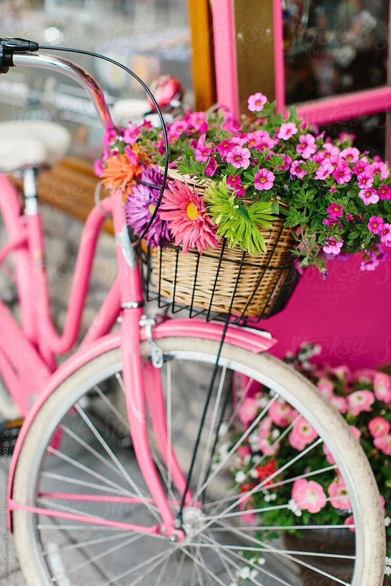 Велосипед в цветах зеленый. Декоративный велосипед. Велосипед с цветами. Велосипед с корзинкой с цветами. Велосипед с цветами декор.