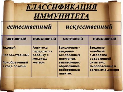 Естественный активный иммунитет возникает после