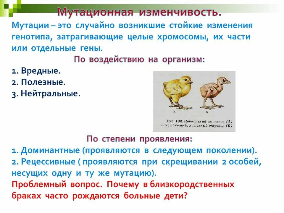 Сделать практическую работу случайная изменчивость. Закономерности изменчивости мутационная изменчивость 9 класс. наследственная изменчивость презентация. наследственная изменчивость мутационная. мутационная изменчивость презентация.
