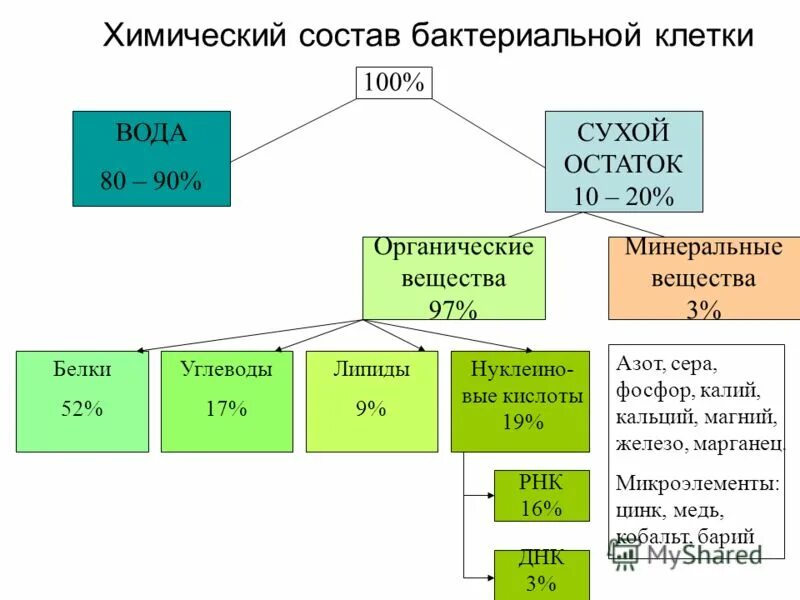 Что такое составляющие вещества. Что такое составляющие вещества