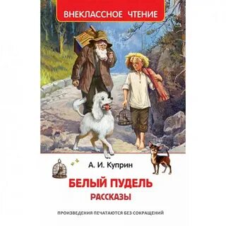 Тест белый пудель