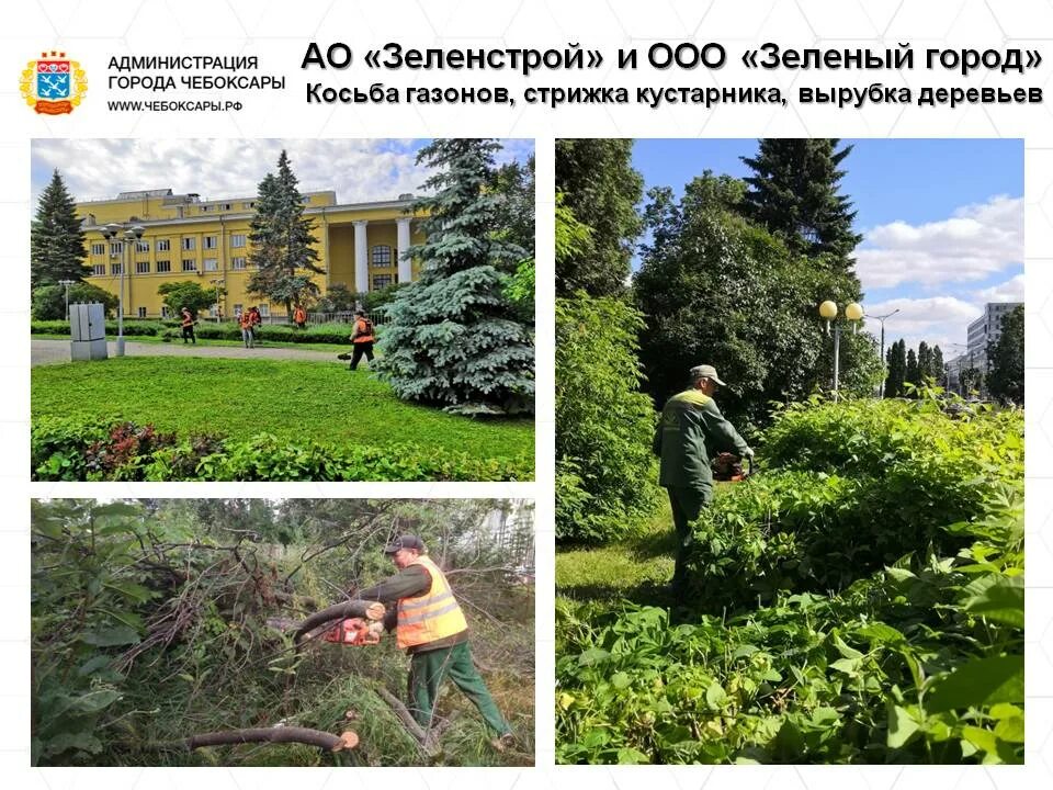 Сайт управления жкх и благоустройства чебоксары. Зеленый город чебоксары. жкх и благоустройство чебоксары официальный сайт.