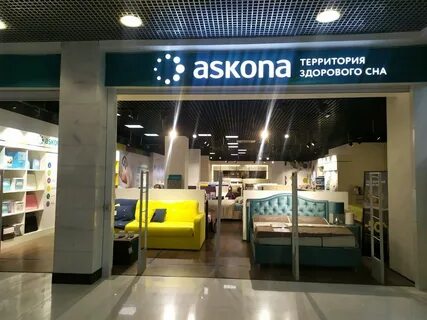 Аскона тула