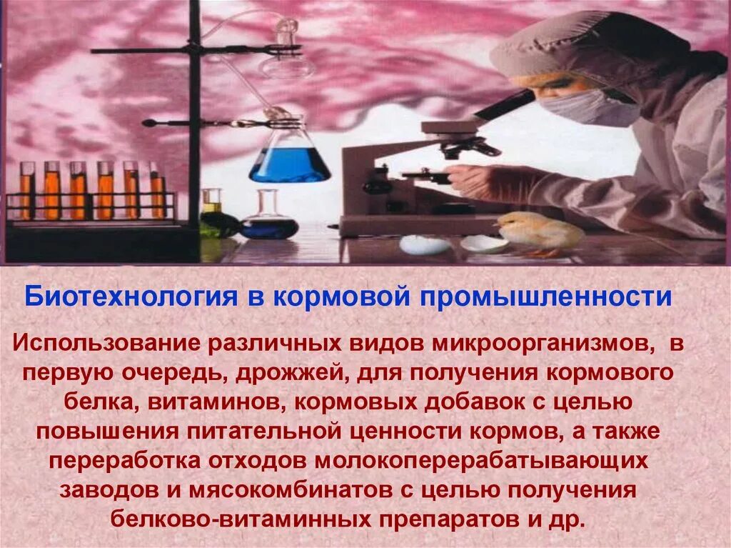 Сообщение использование биотехнологий. Биотехнологии в промышленности. применение биотехнологий. отрасли использования биотехнологии. доклад на тему биотехнологии.