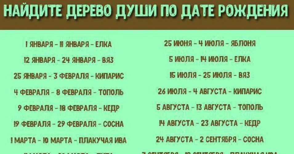 календарь друидов деревья. дерево знака зодиака.