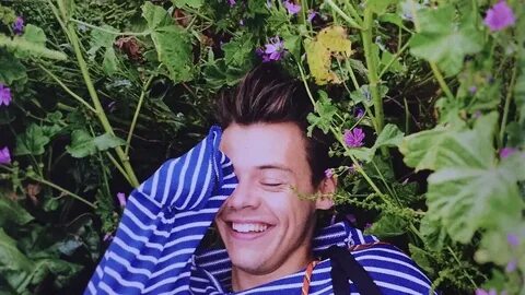 Harry time