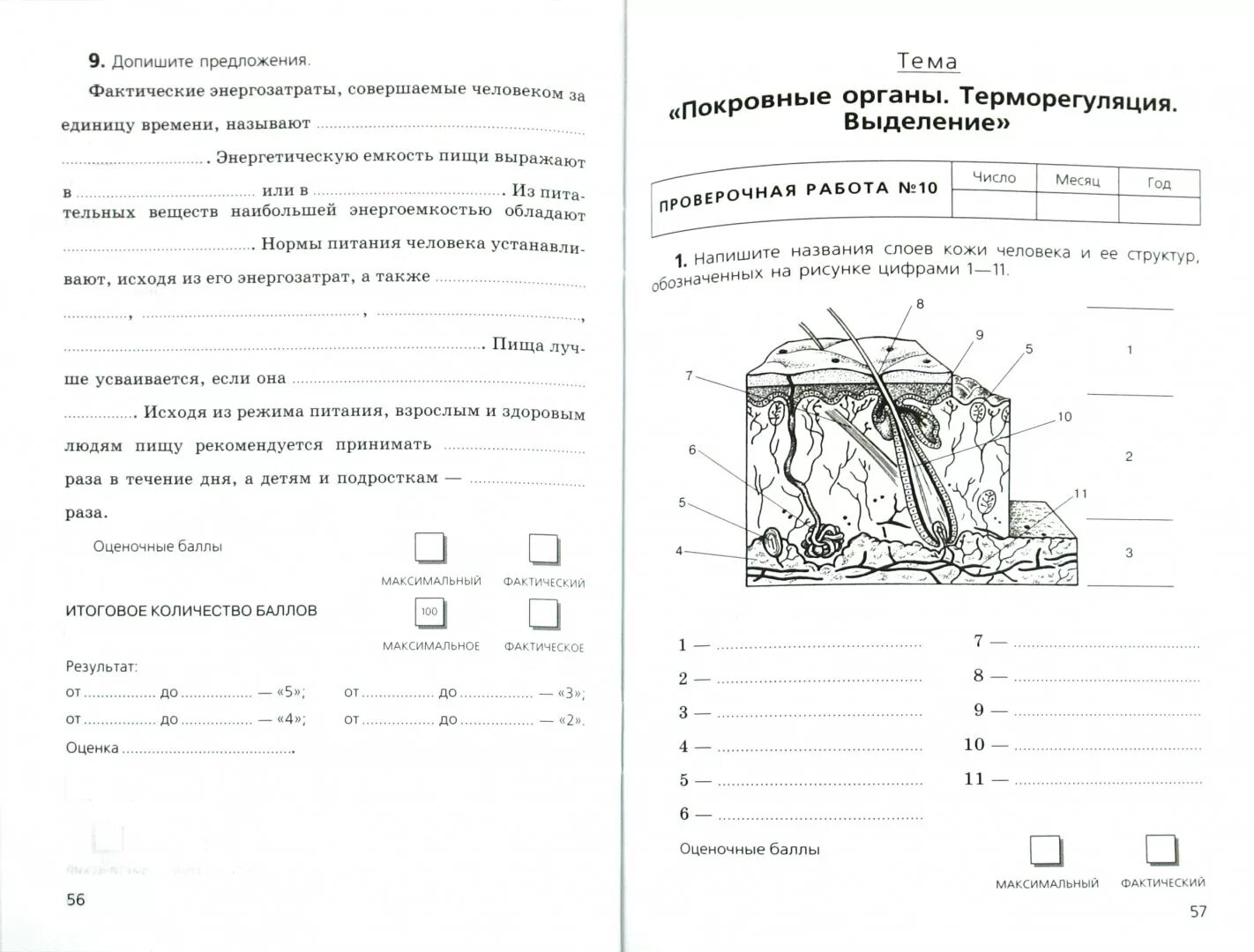 Оценка качества тетрадь. Проверочная работа кожа 8 класс. Строение кожи проверочная работа 8 класс. Тесты биология Никишов ответы. Рабочая тетрадь по биологии 8 класс Никишов.