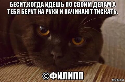 Твой характер бесит сколько тебя не