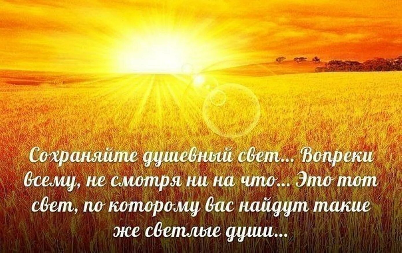 Слова несущие свет. Цитаты про солнце. Статусы про солнце. Солнышко в жизни. Свет высказывания и цитаты.