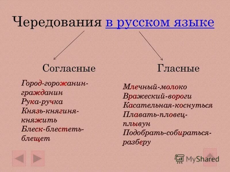 Что такое чередующиеся согласные. Чередование в русском языке. Что такое исторические чередования и примеры в русском. Исторические чередования в русском. Исторические чередования в русском языке примеры.