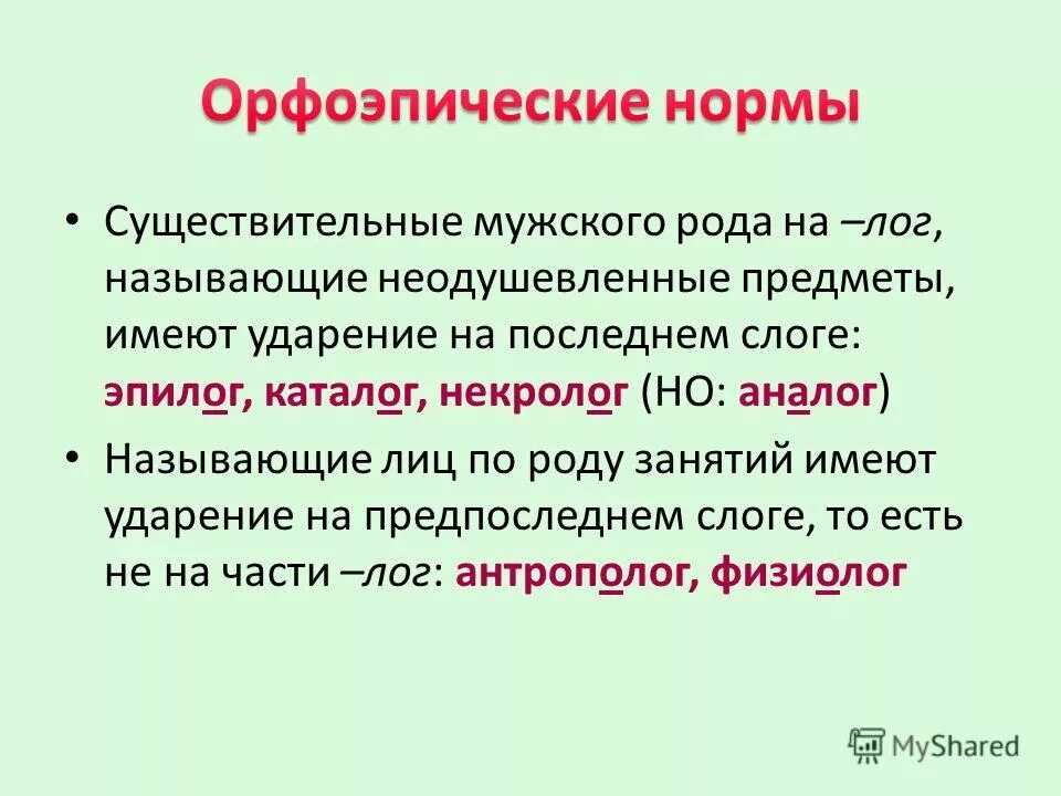 кулинария ударение. весна в этом году выдалась. аналогия ударение. акцентологическая норма: постановка ударения. дремота ударение правильное.